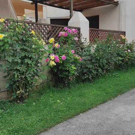Kallisti Seaside Skopelos Lägenhet Agnontas